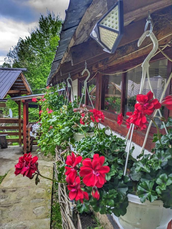 Cabana „Stana Din Deal” Provita de Sus Exterior photo