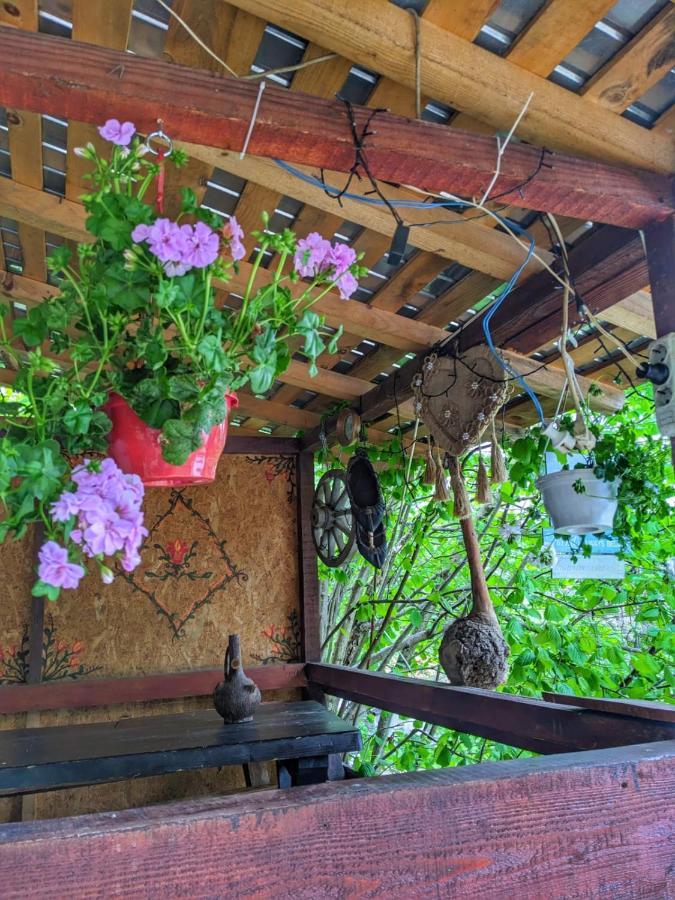 Cabana „Stana Din Deal” Provita de Sus Exterior photo